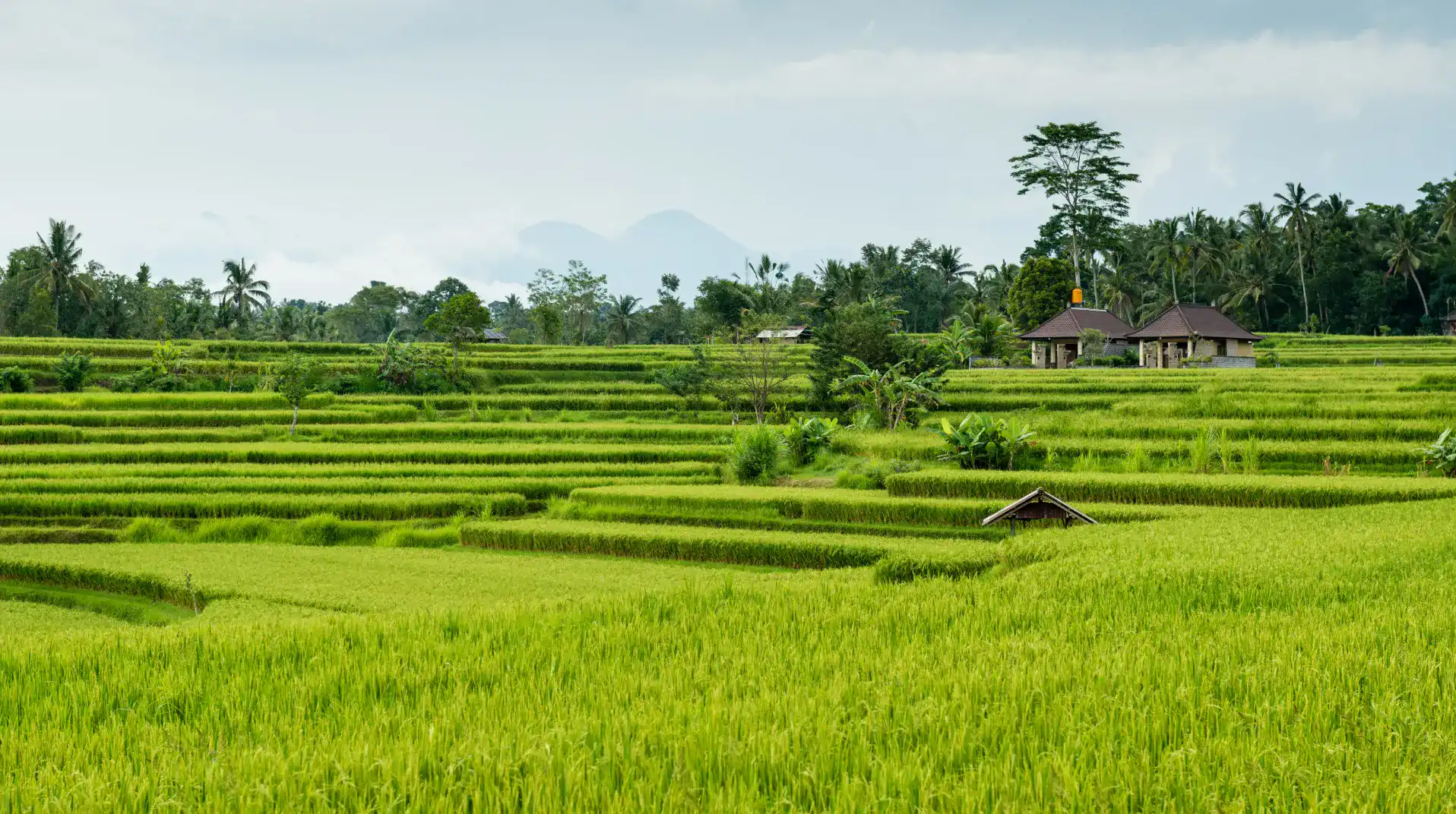 Farm Stay