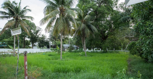 Farmstay