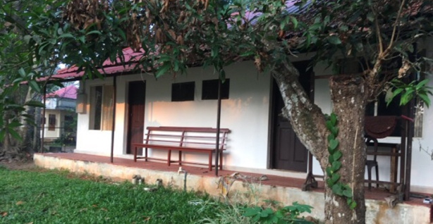 Cottage by Mango tree