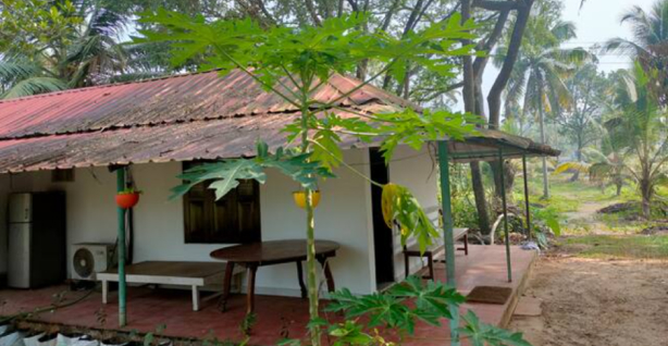 Cottage by Tamarind tree